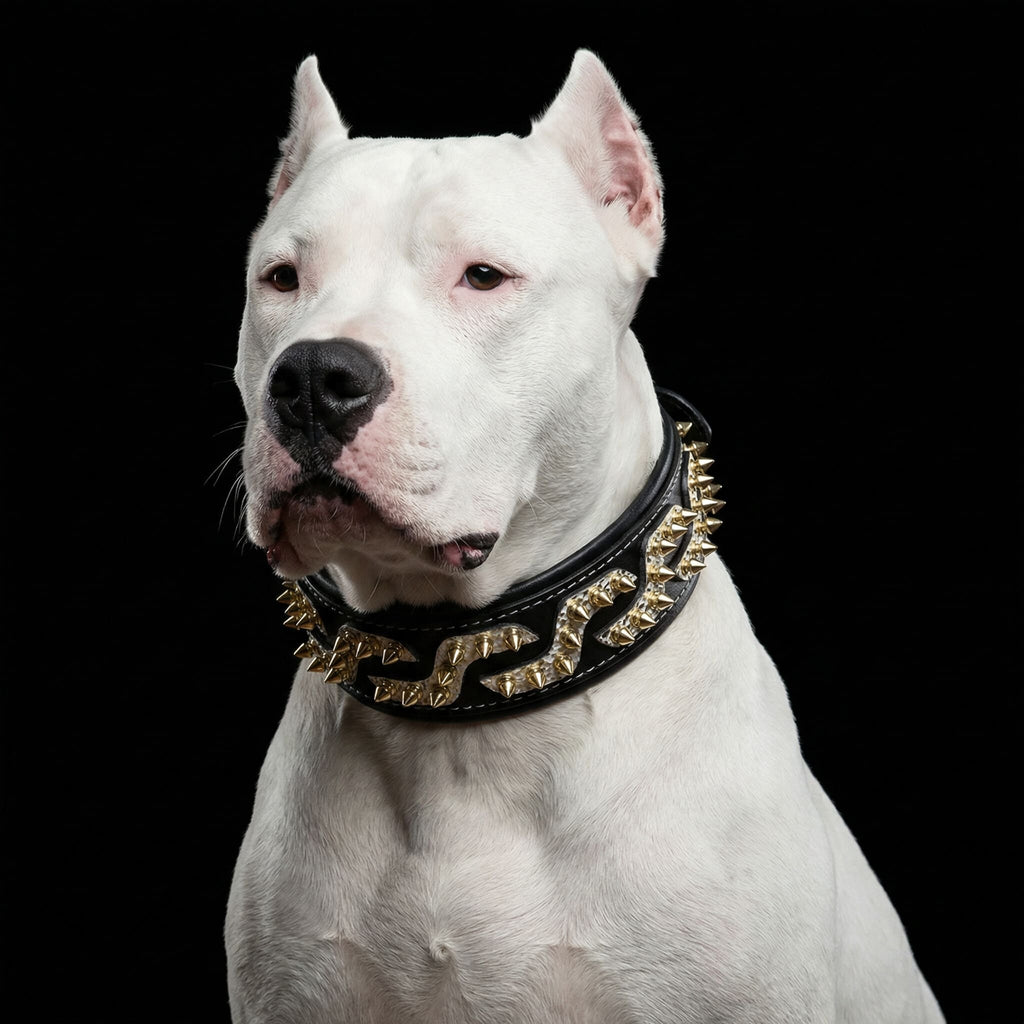 Platinum Dual-Tone Spiked Leather Collar