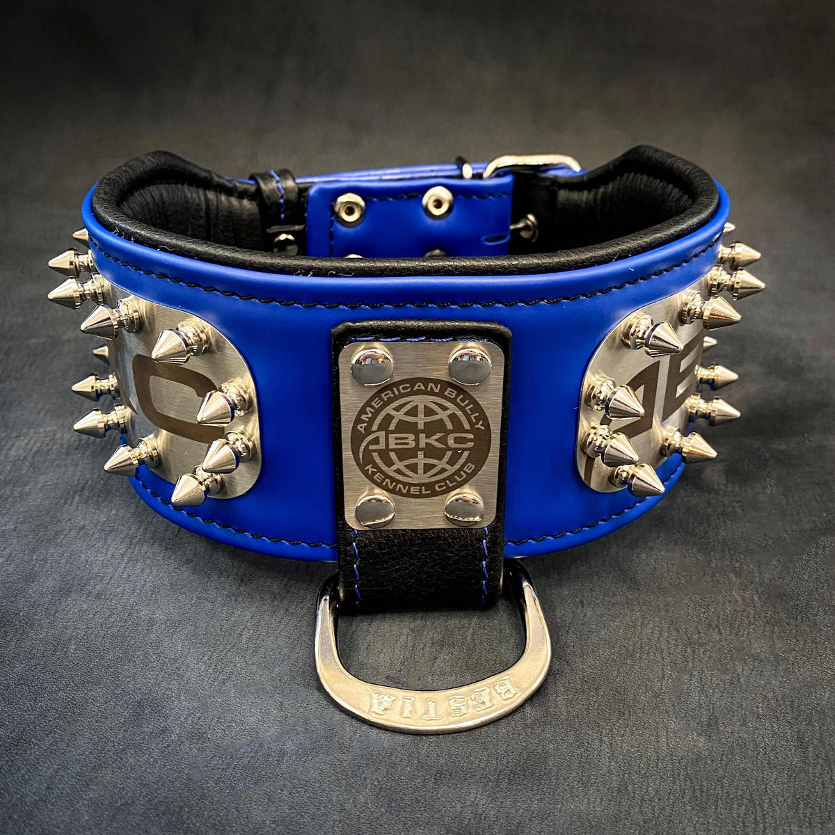 Wide Leather Show Collar — 4 Colours, S to XXL