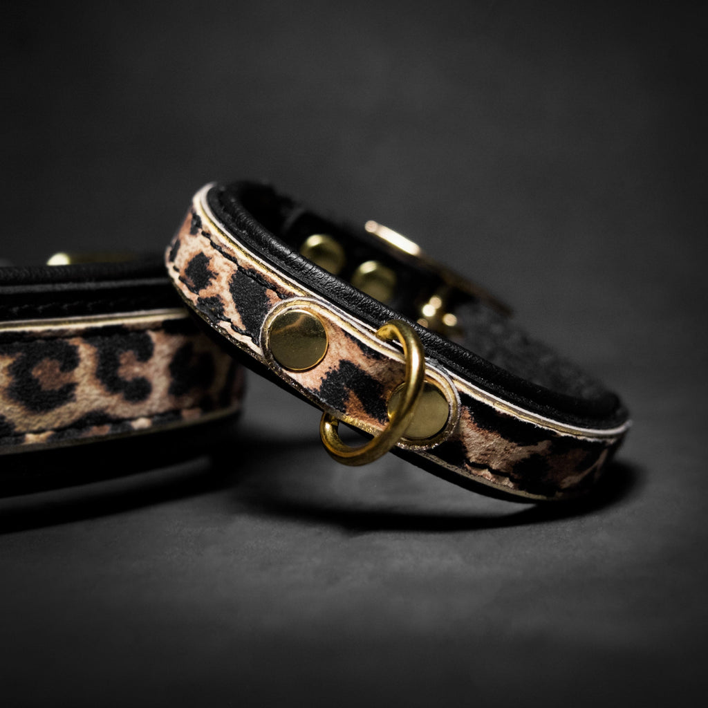 Leopard Puppy Leather Collar — Pre-Order