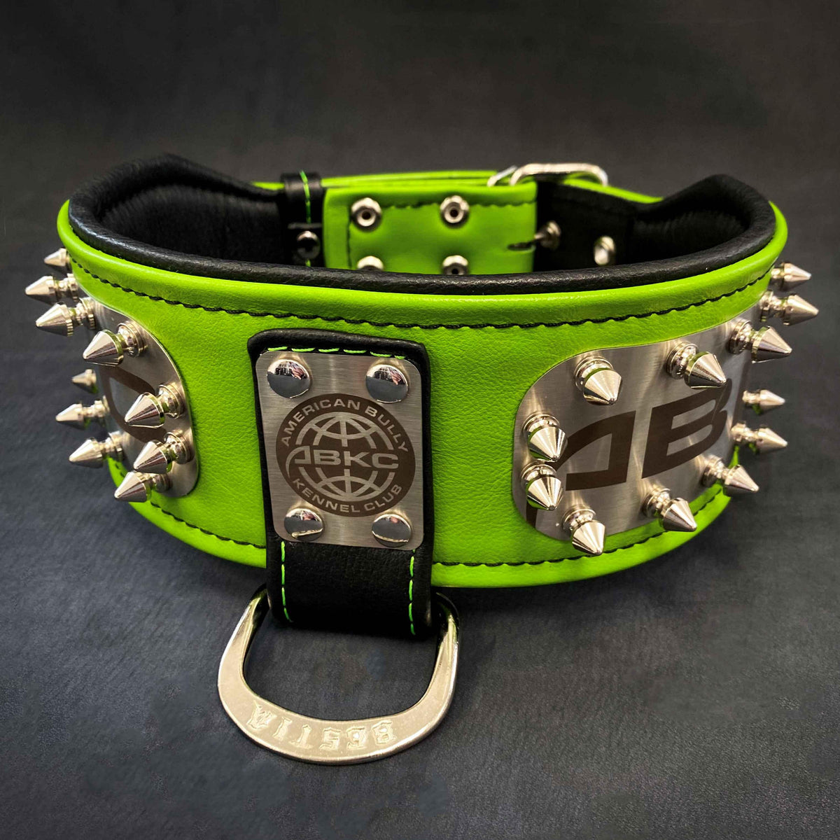 Wide Leather Show Collar — 4 Colours, S to XXL