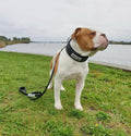 Tactical Dog Leash — Heavy Duty, All Black