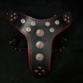 Bijou Leather Dog Harness — Black & Red, Large Breeds