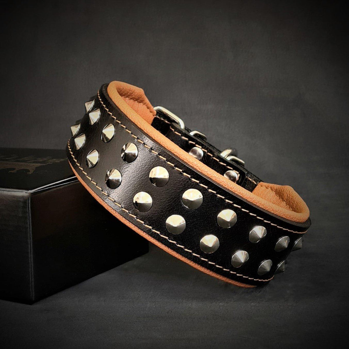 Boston Studded Leather Dog Collar — 4 Cushion Colours