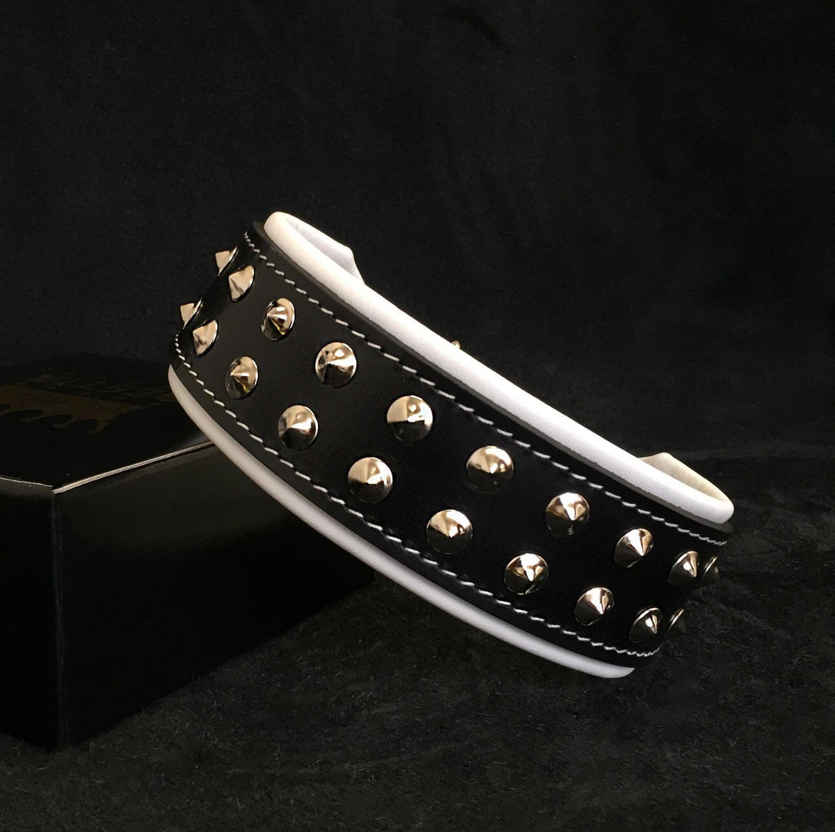 Boston Studded Leather Dog Collar — 4 Cushion Colours