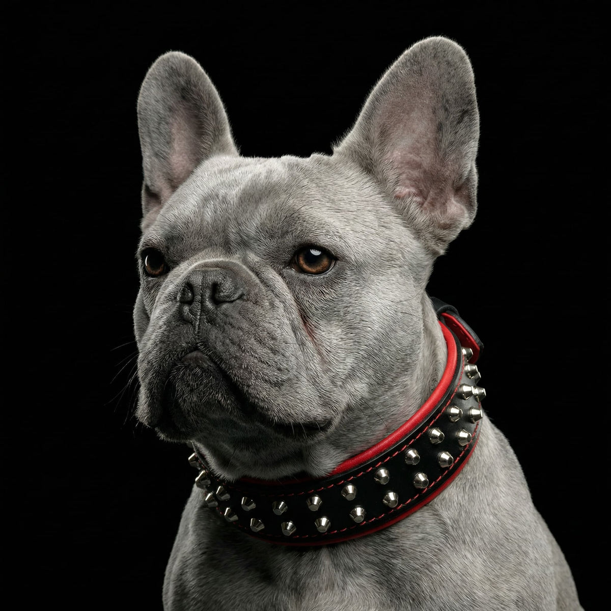 Rocky Studded Leather Dog Collar