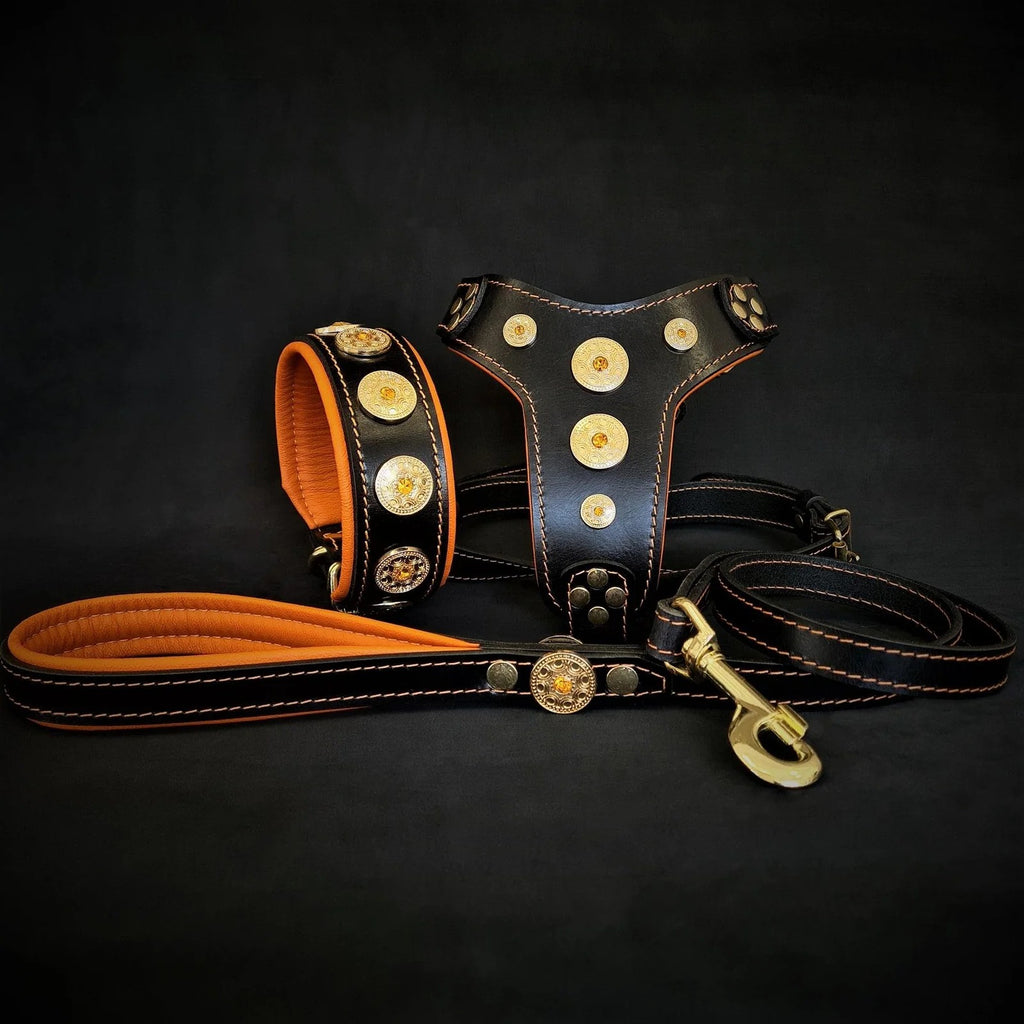 The ''Bijou'' SET -  Collar, Harness, Leash. Green