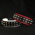 Rocky Studded Leather Dog Collar