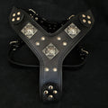 Eros Leather Dog Harness — All Black