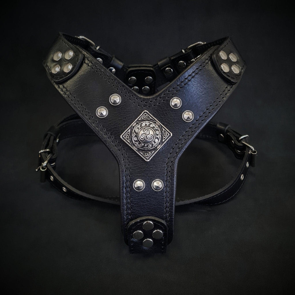 Eros Leather Dog Harness — Black, Small to Medium