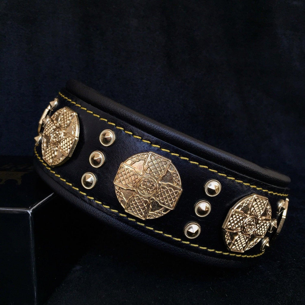 Maximus Leather Dog Collar — 2.5" Black & Gold