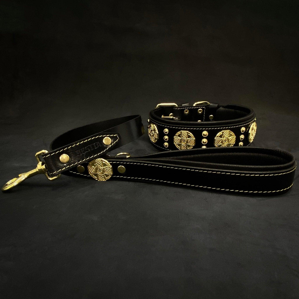 Maximus Leather Dog Collar — 2.5" Black & Gold