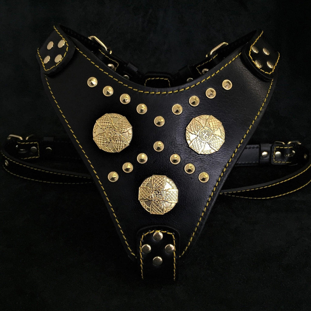 Maximus Leather Dog Harness — Black & Gold