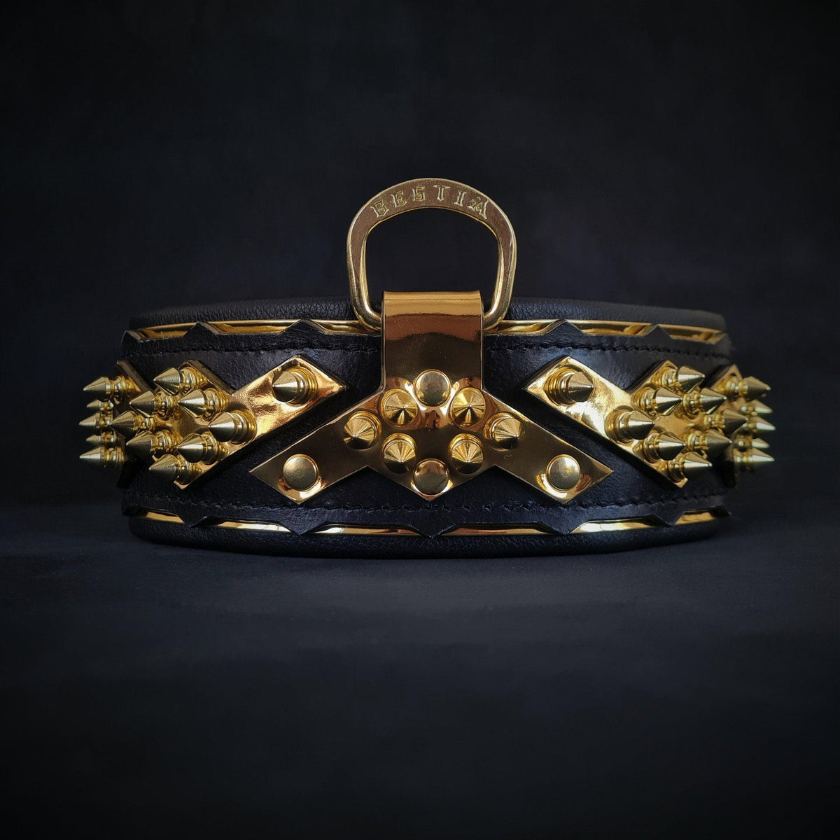 Midas Gold Spiked Leather Collar — 2.5"