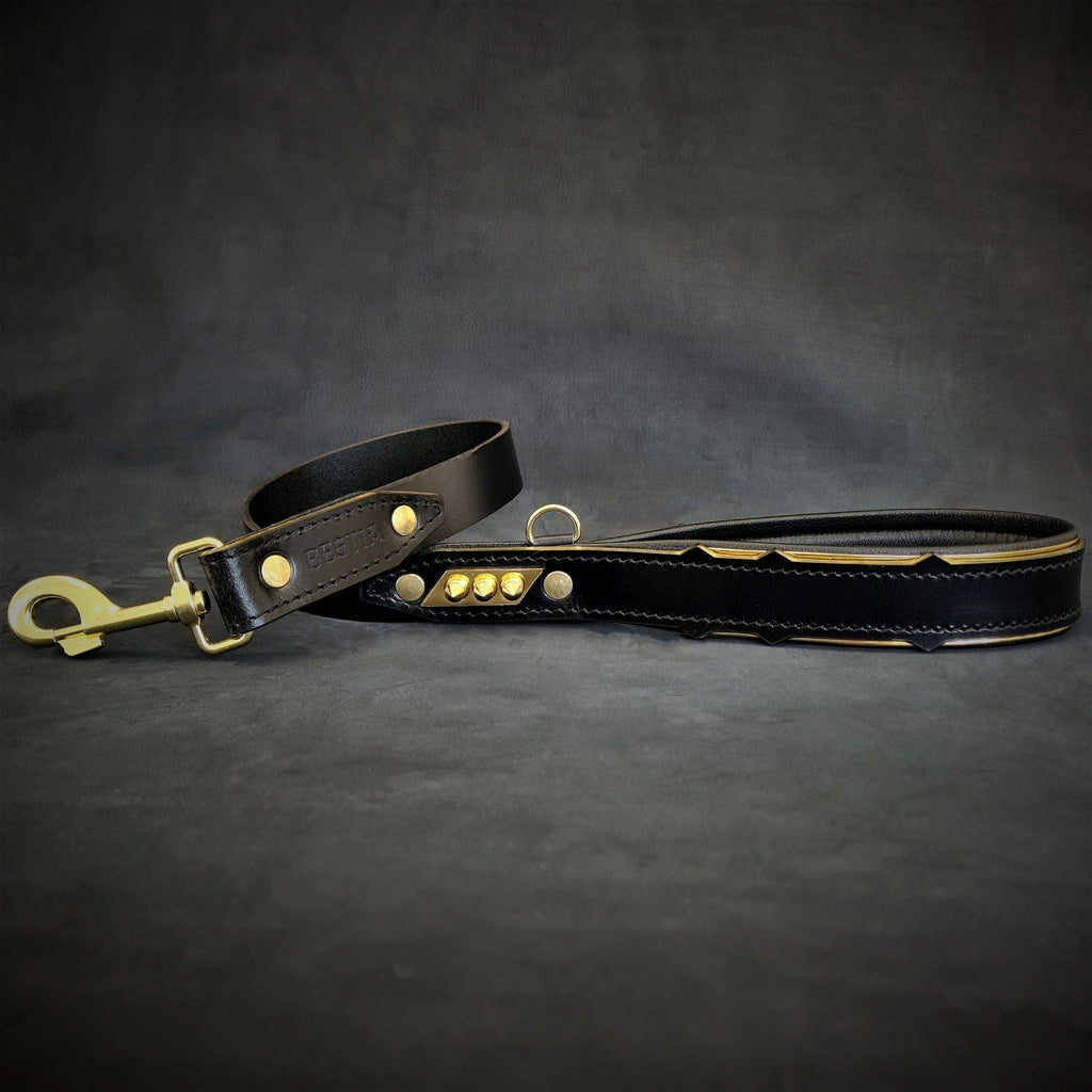 Midas Gold Spiked Leather Collar — 2.5"