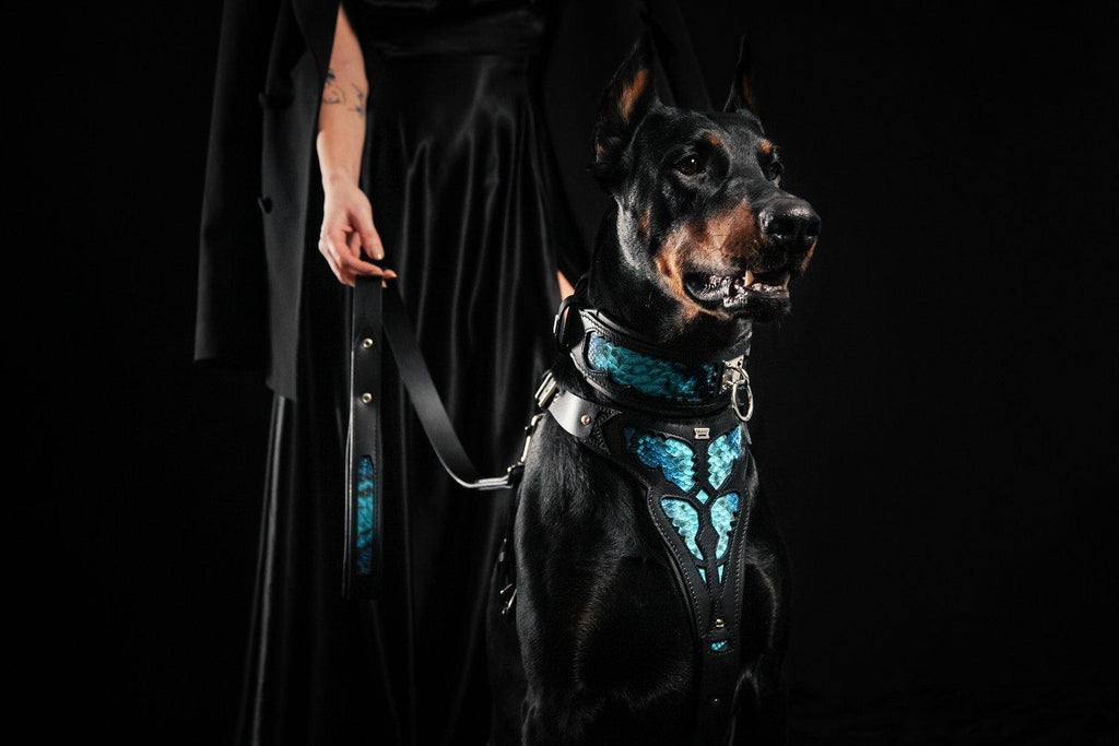 Python Pattern Leather Dog Harness — Black