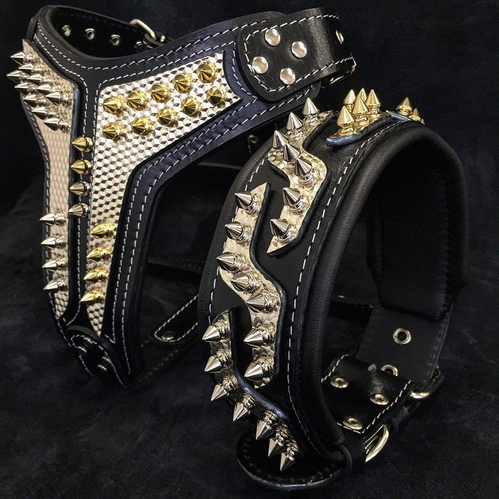 Platinum Dual-Tone Spiked Leather Collar