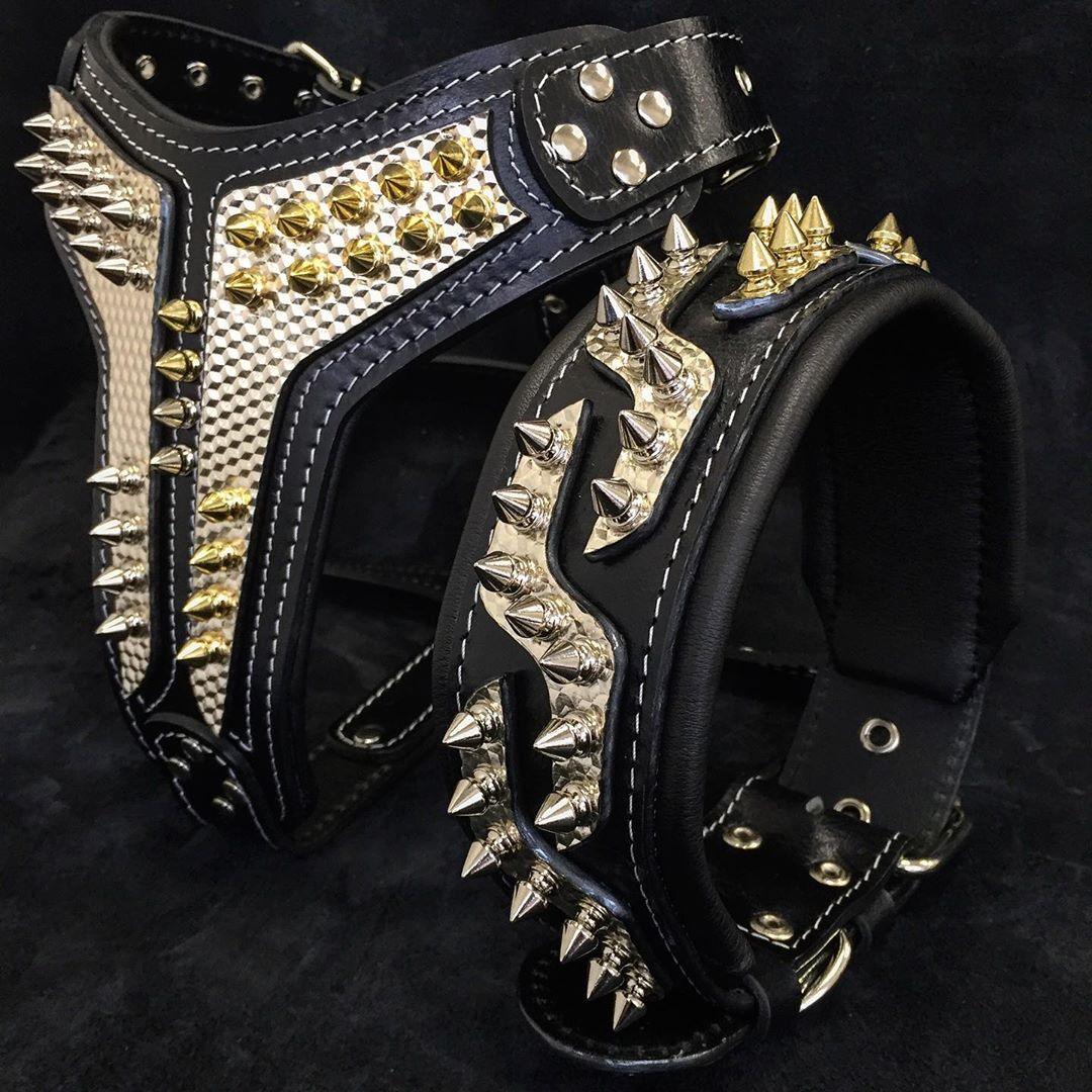 Platinum Dual-Tone Spiked Leather Collar