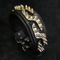 Platinum Dual-Tone Spiked Leather Collar