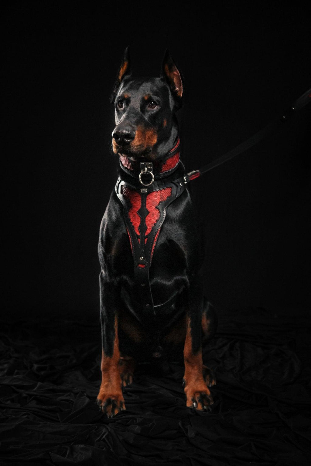 Red Dragon Leather Dog Harness — Made to Order