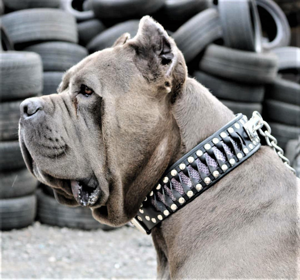 Steampunk Snakeskin Pattern Leather Collar
