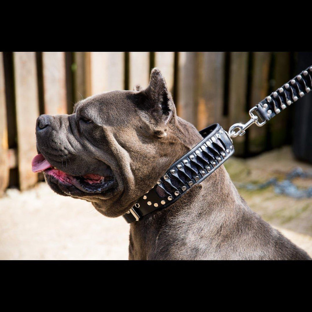 Steampunk Snakeskin Pattern Leather Collar