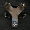 Style Leather Dog Harness — Black