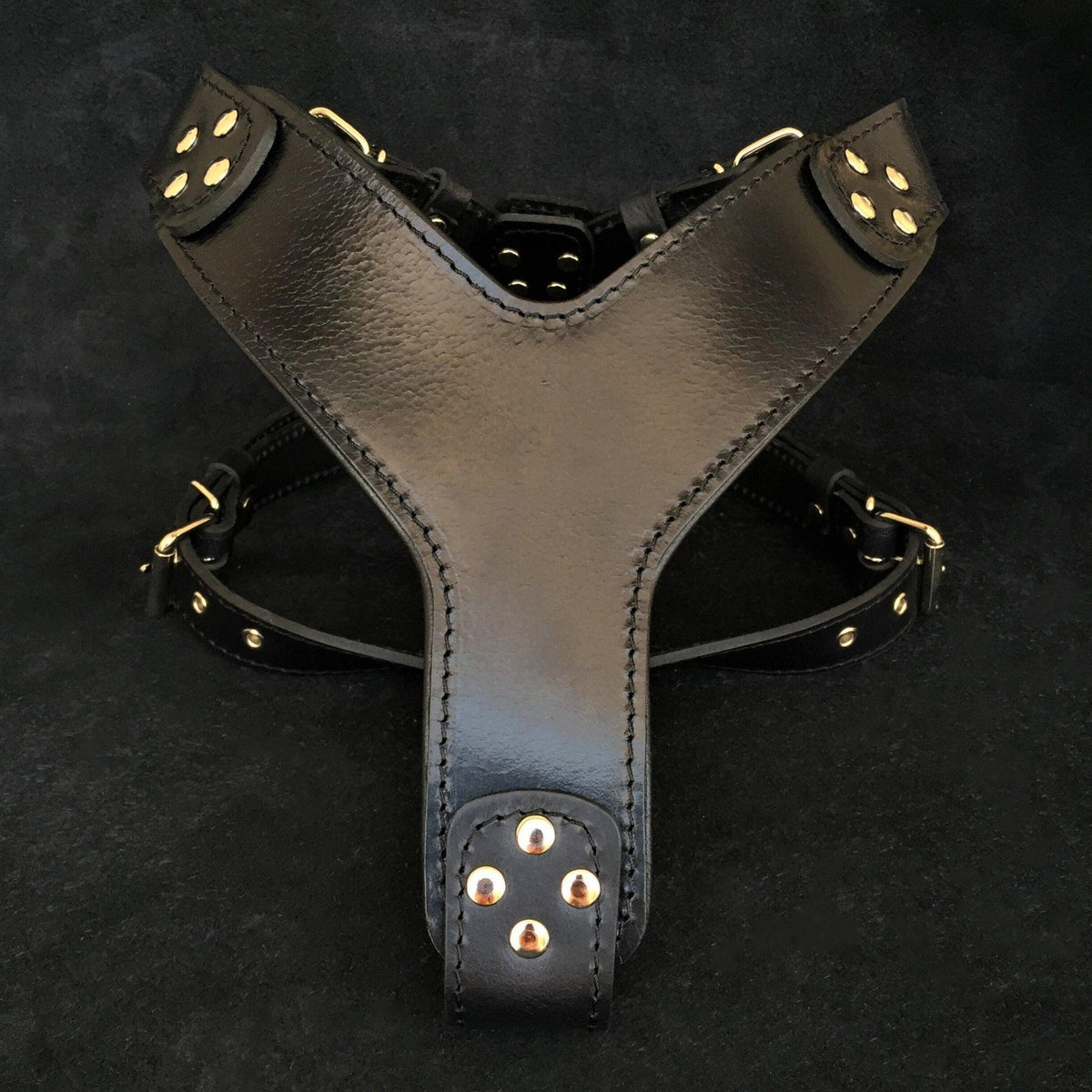 Style Leather Dog Harness — Black